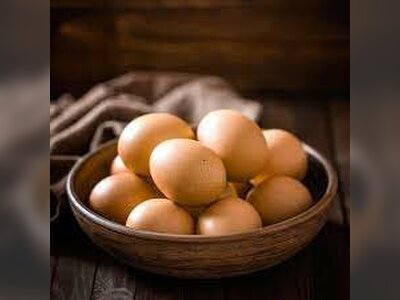 ไข่ไก่