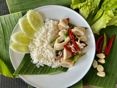 ผัดกระเพราปลาหมึกราดข้าว